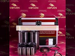 202-00010-5103 200V02511-0771-SPT  for HOWO SITRAK  MC11 engine Spare Parts PISTON KIT