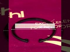 MQ6-29020-0216 FOR howo SITRAK MCY11/13/12 MCJ12 MCX16 ALEX PARTS Retaining Ring