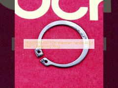 190003933300 FOR shacman hande ALEX PARTS Retaining Ring